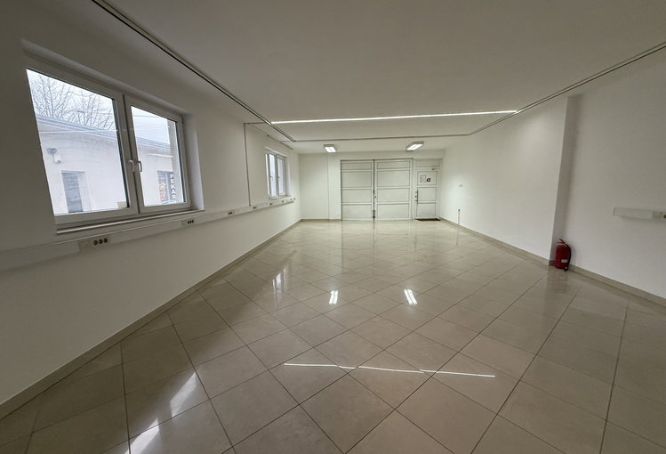 Lokacija: Ljubljana okolica, Vrhnika, Vrhnika