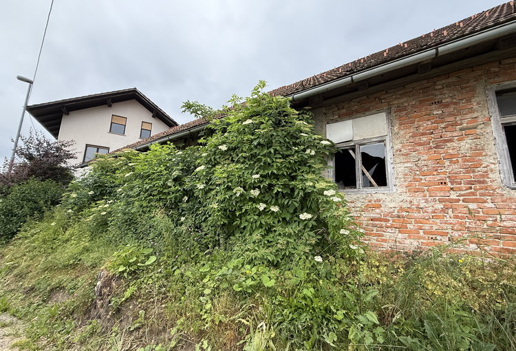 Lokacija: Ljubljana okolica, Ig, Golo