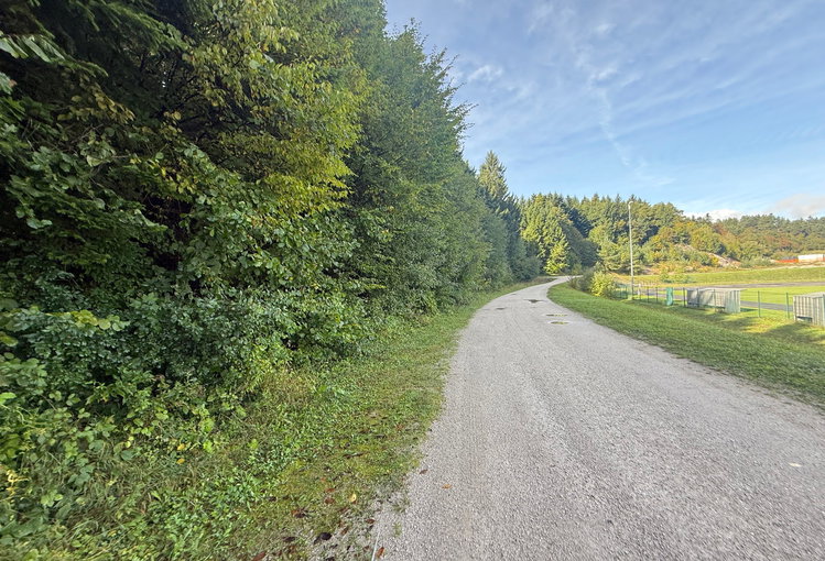 Lokacija: Notranjsko - kraška, Cerknica, Rakek