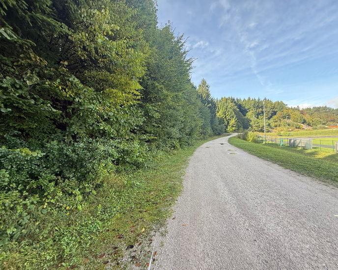 Lokacija: Notranjsko - kraška, Cerknica, Rakek