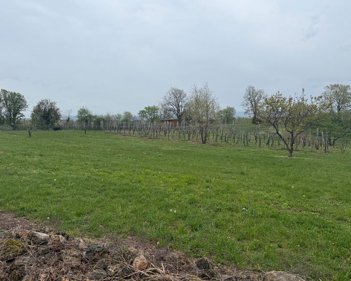 Location: Goriška, Miren - Kostanjevica, Sela na Krasu