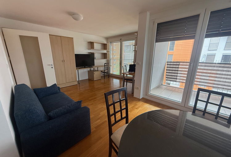 Lokacija: Ljubljana mesto, Bežigrad, Bežigrad