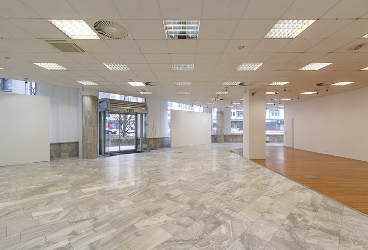 Lokacija: Ljubljana okolica, Domžale, Domžale