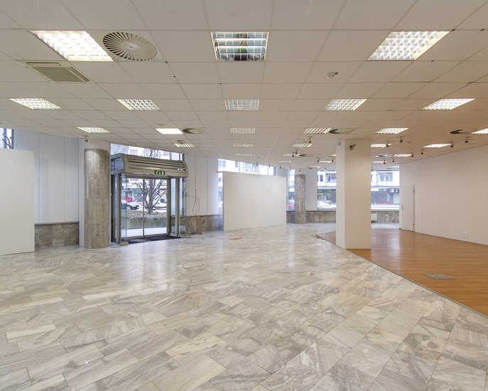 Lokacija: Ljubljana okolica, Domžale, Domžale