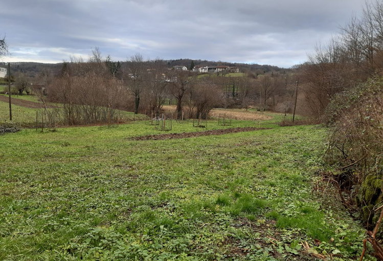 Lokacija: Notranjsko - kraška, Ilirska Bistrica, Prem