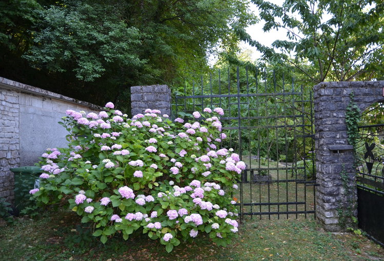 Lokacija: Obalno - kraška, Divača, Senožeče