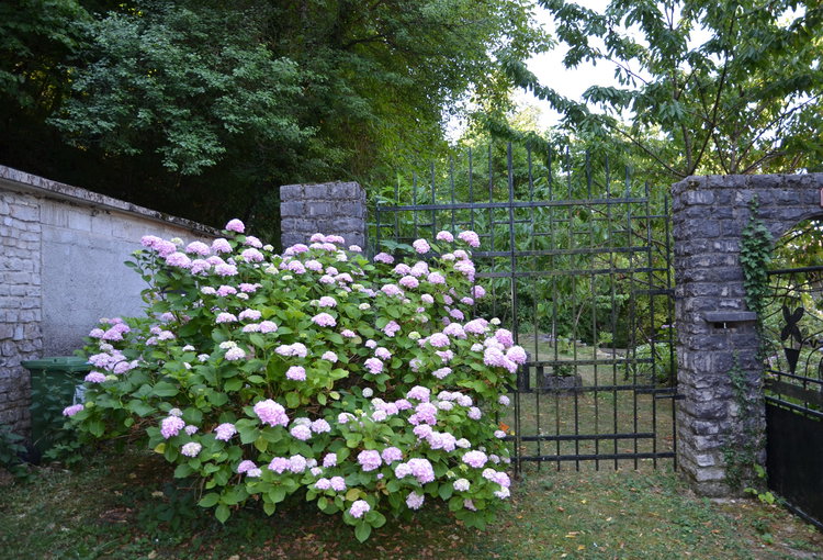 Lokacija: Obalno - kraška, Divača, Senožeče