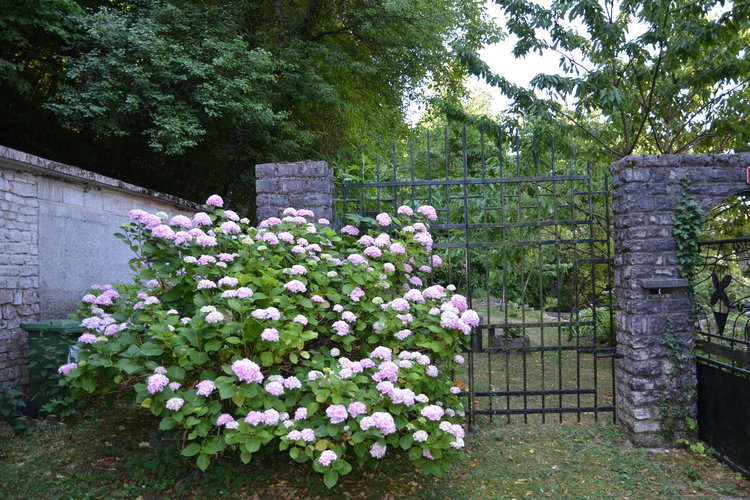 Lokacija: Obalno - kraška, Divača, Senožeče