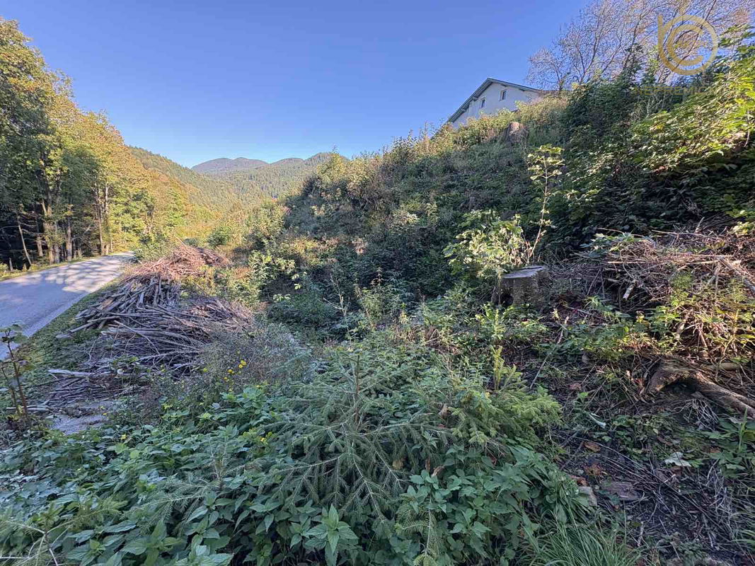 Lokacija: Zasavska, Zagorje ob Savi, Šentgotard