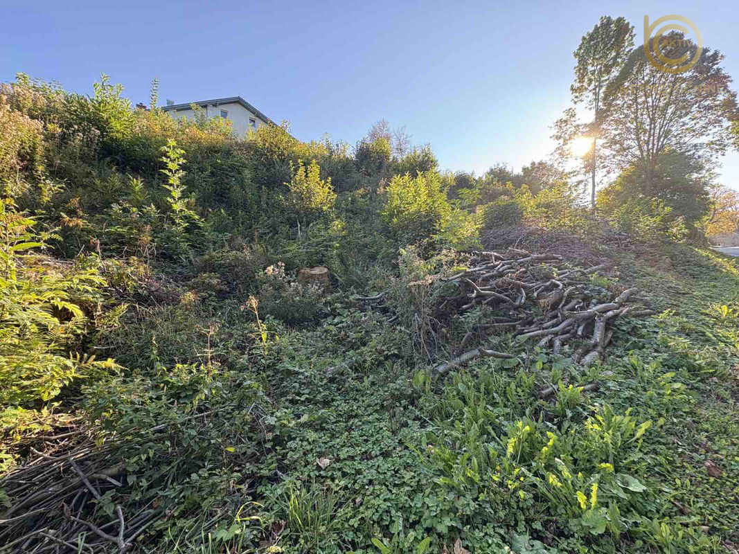 Lokacija: Zasavska, Zagorje ob Savi, Šentgotard