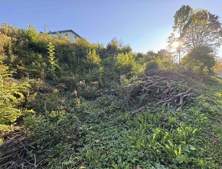 Lokacija: Zasavska, Zagorje ob Savi, Šentgotard