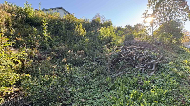 Lokacija: Zasavska, Zagorje ob Savi, Šentgotard