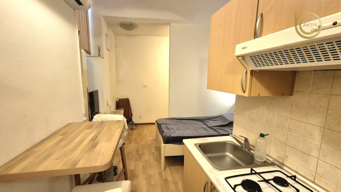 Lokacija: Ljubljana mesto, Vič-Rudnik, Rudnik