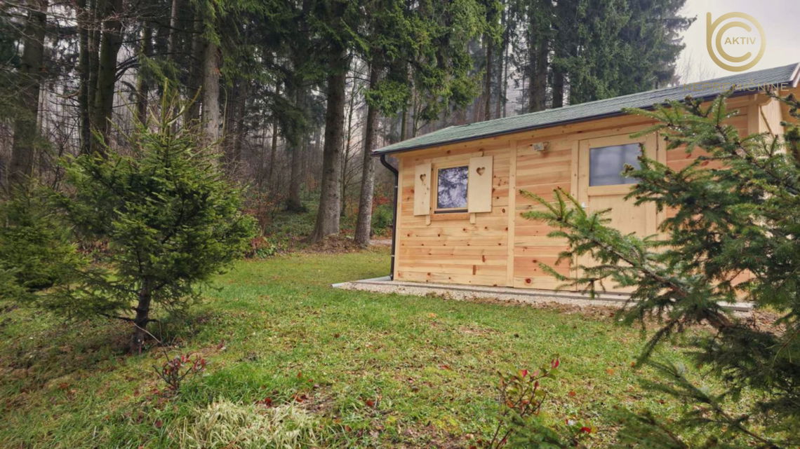 Lokacija: Zasavska, Zagorje ob Savi, Čemšenik