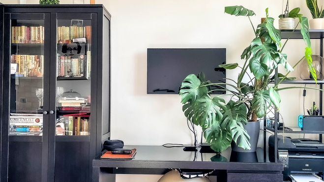 Lokacija: Ljubljana okolica, Domžale, Domžale