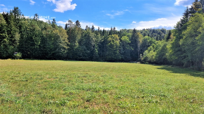 Lokacija: Ljubljana okolica, Mengeš, Mengeš