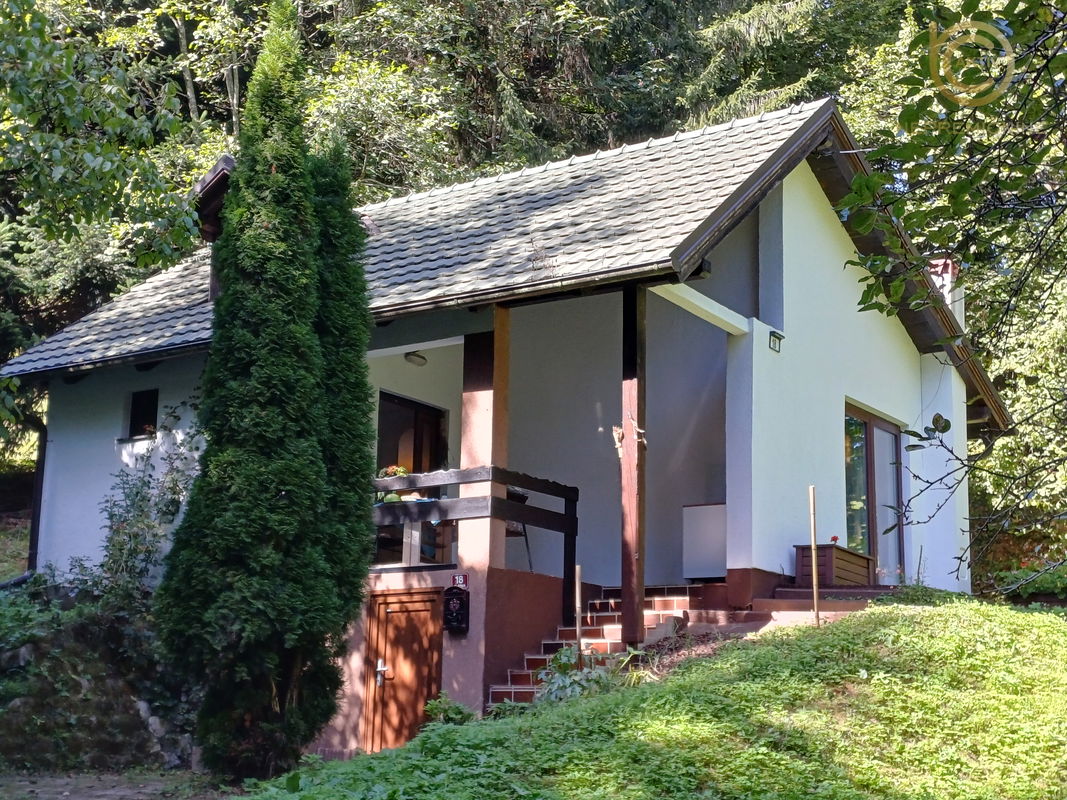 Lokacija: Podravska, Cirkulane, Cirkulane