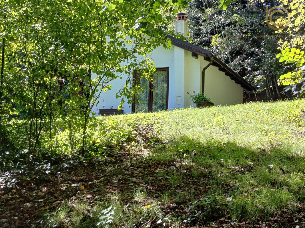 Lokacija: Podravska, Cirkulane, Cirkulane