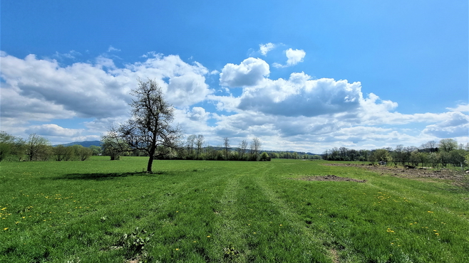 Lokacija: Ljubljana okolica, Domžale, Dob