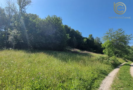Lokacija: Ljubljana okolica, Moravče, Spodnja Dobrava