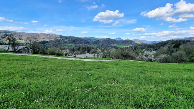 Lokacija: Ljubljana okolica, Moravče, Gora pri Pečah