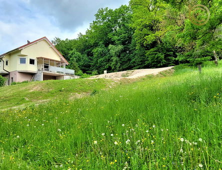 Lokacija: Ljubljana okolica, Moravče, Gora pri Pečah