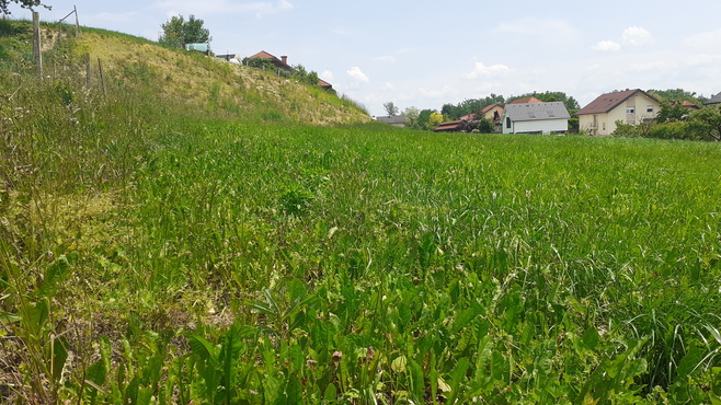 Lokacija: Ljubljana okolica, Komenda, Gora pri Komendi