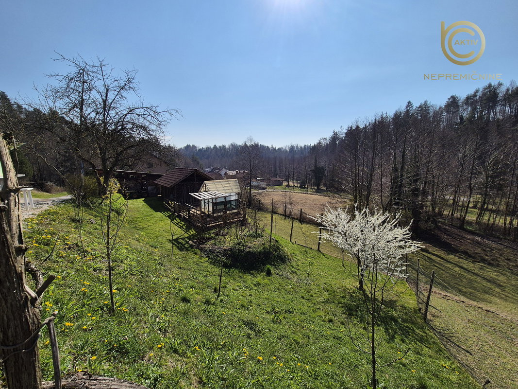 Lokacija: Ljubljana okolica, Vrhnika, Drenov grič