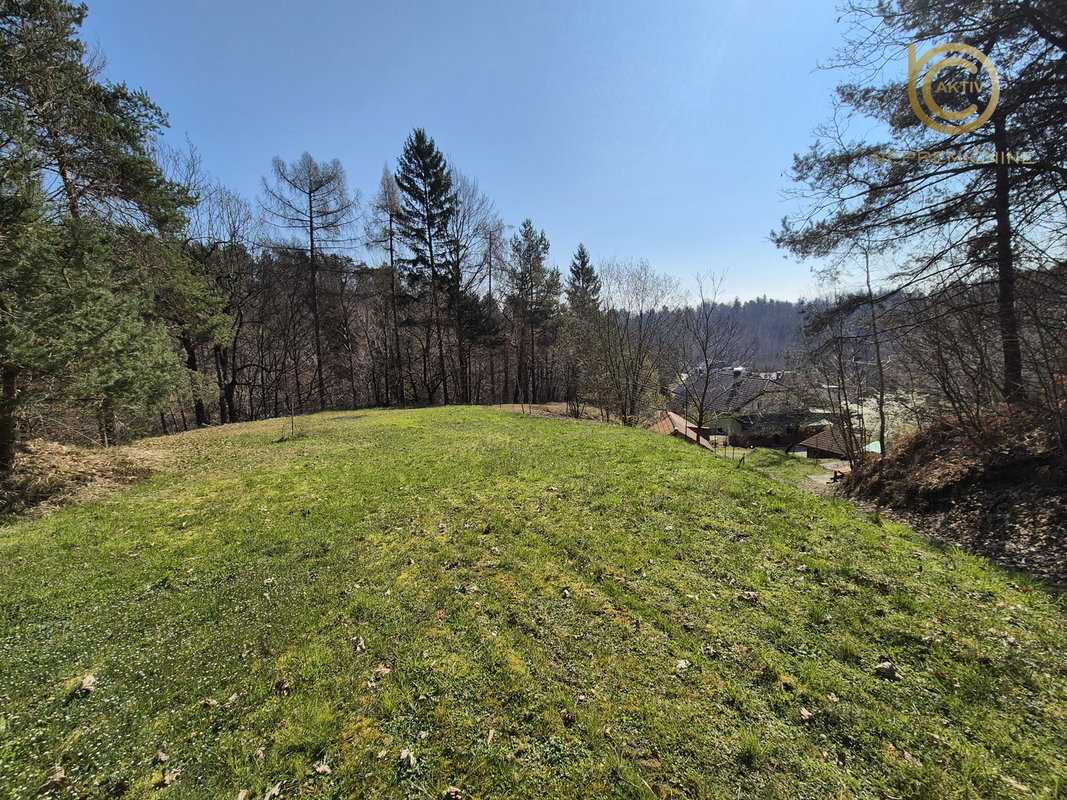 Lokacija: Ljubljana okolica, Vrhnika, Vrhnika