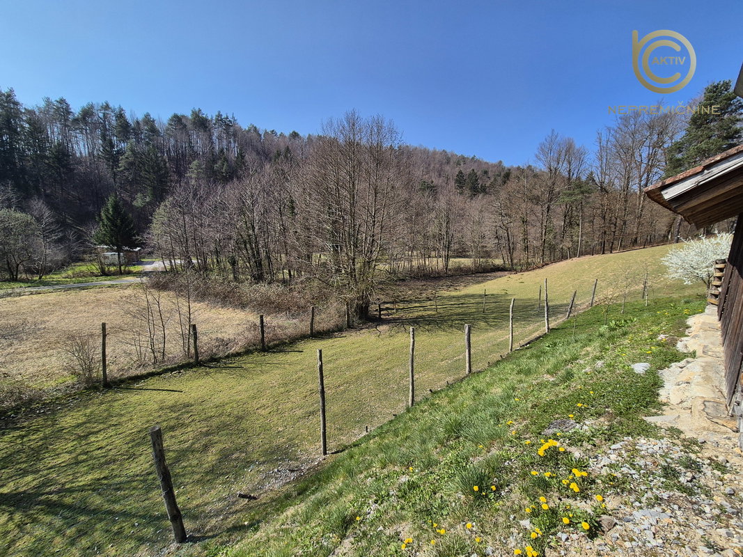 Lokacija: Ljubljana okolica, Vrhnika, Vrhnika