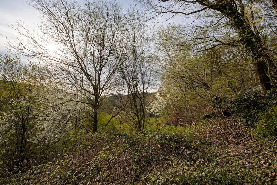 Lokacija: Ljubljana okolica, Lukovica, Krašnja