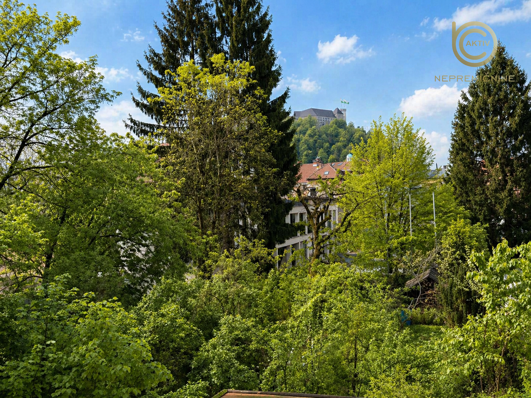 Lokacija: Ljubljana mesto, Center, Center