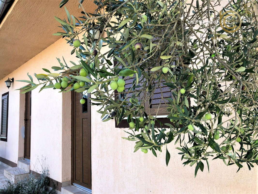 Lokacija: Hrvaška, Zadarska županija, Biograd na Moru