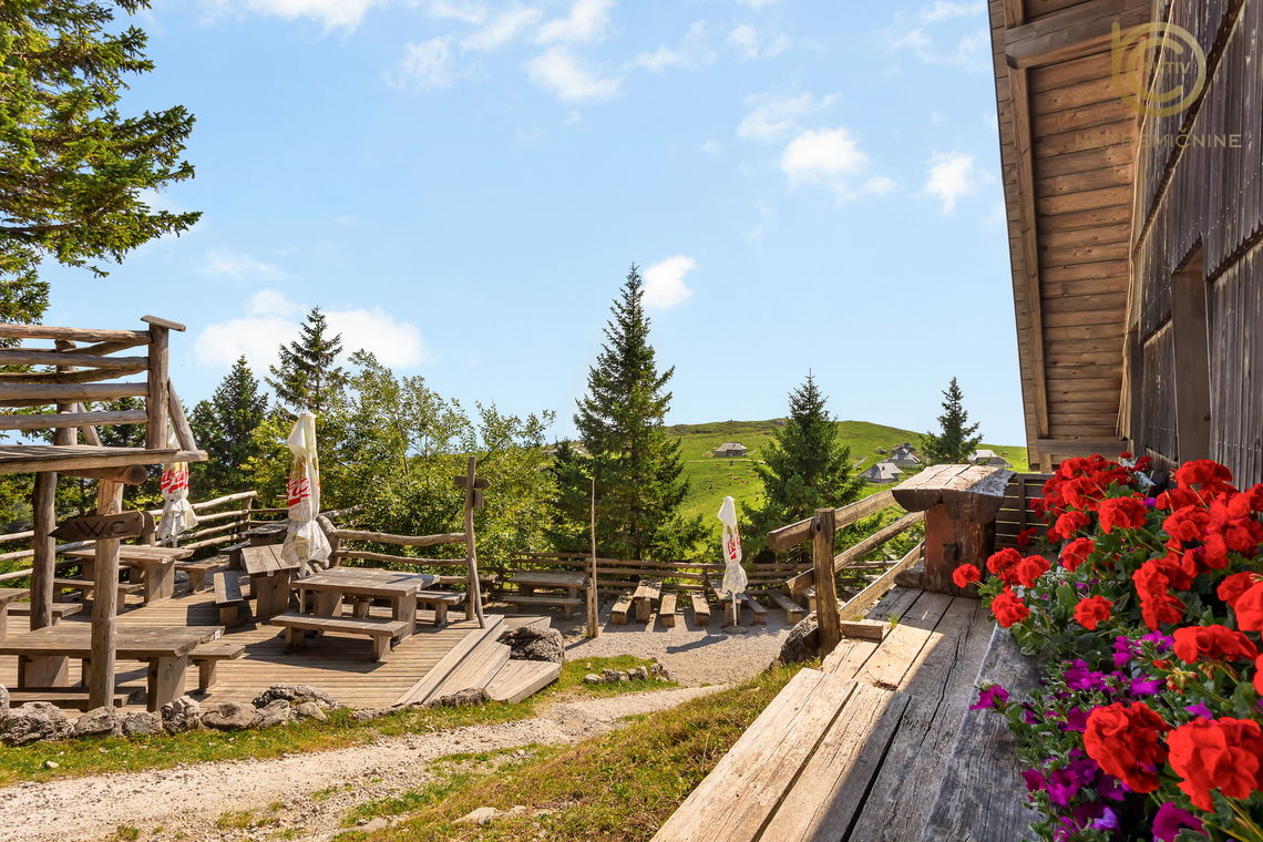 Lokacija: Ljubljana okolica, Kamnik, Velika Planina