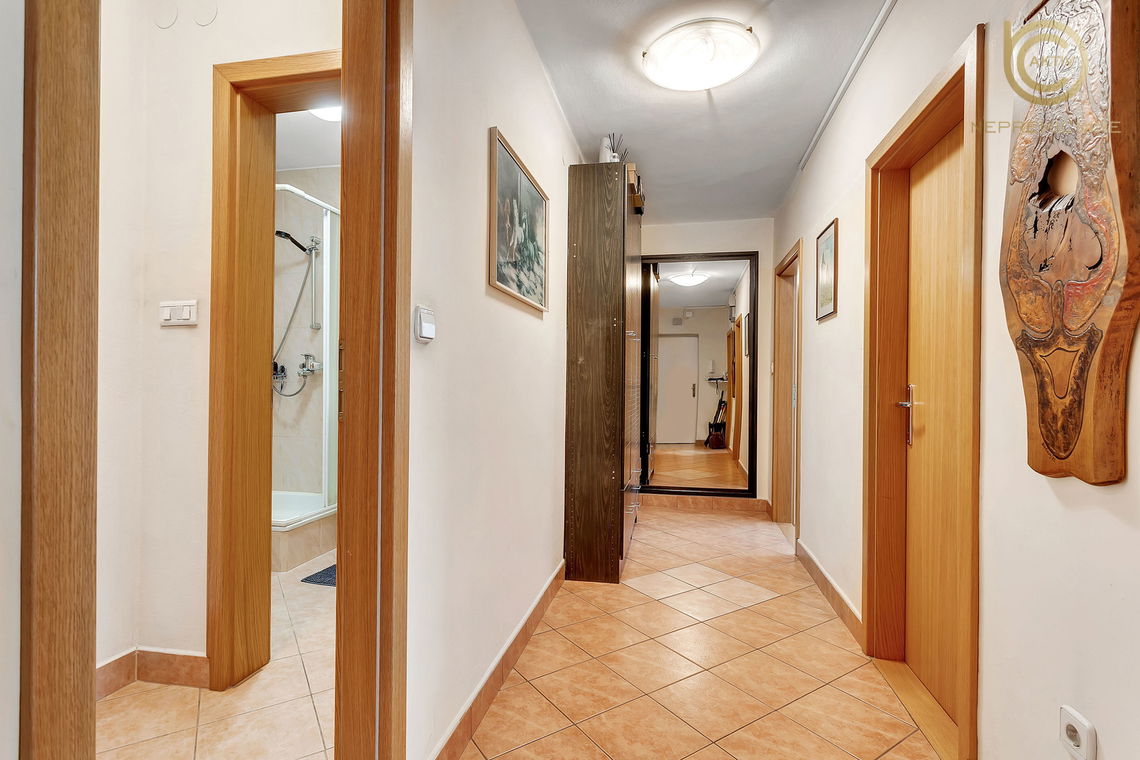 Lokacija: Ljubljana okolica, Domžale, Domžale