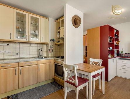 Lokacija: Ljubljana mesto, Šiška, Šiška