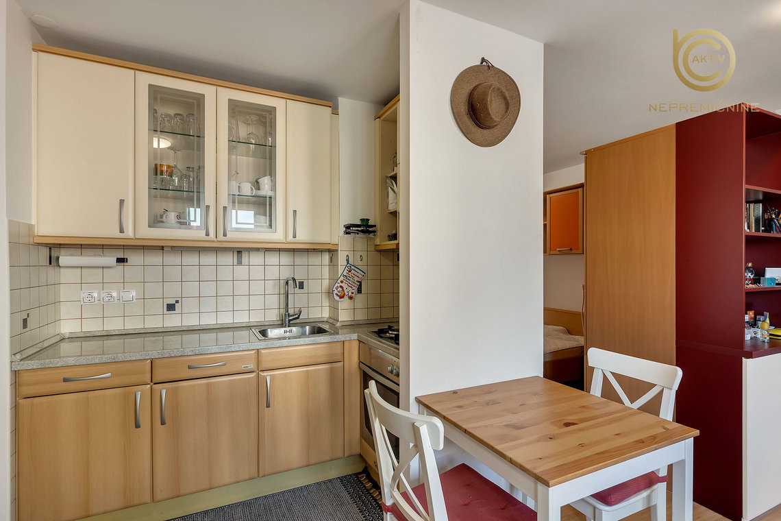 Lokacija: Ljubljana mesto, Šiška, Šiška