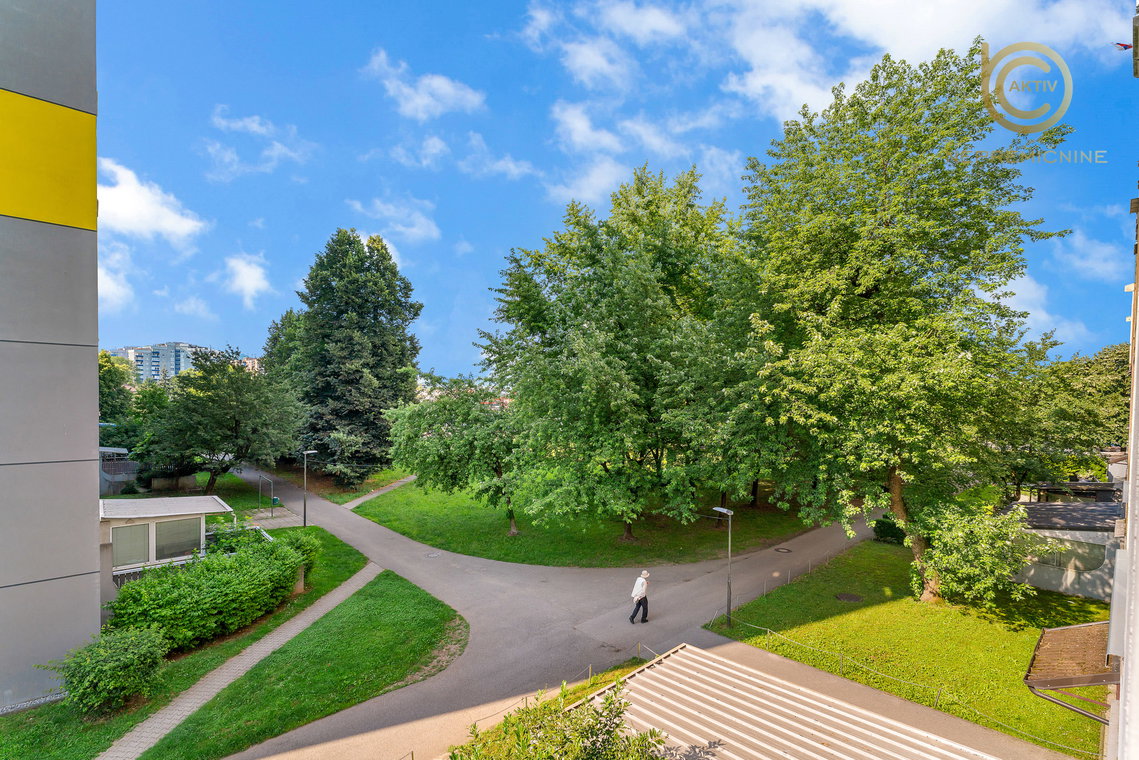 Lokacija: Ljubljana mesto, Šiška, Dravlje