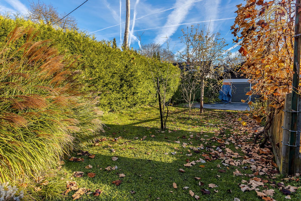 Lokacija: Gorenjska, Radovljica, Lesce