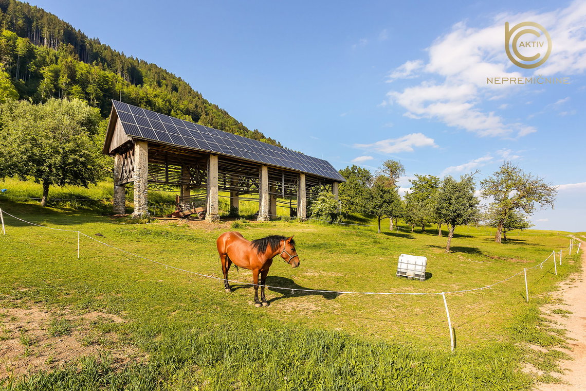 Lokacija: Gorenjska, Škofja Loka, Podvrh