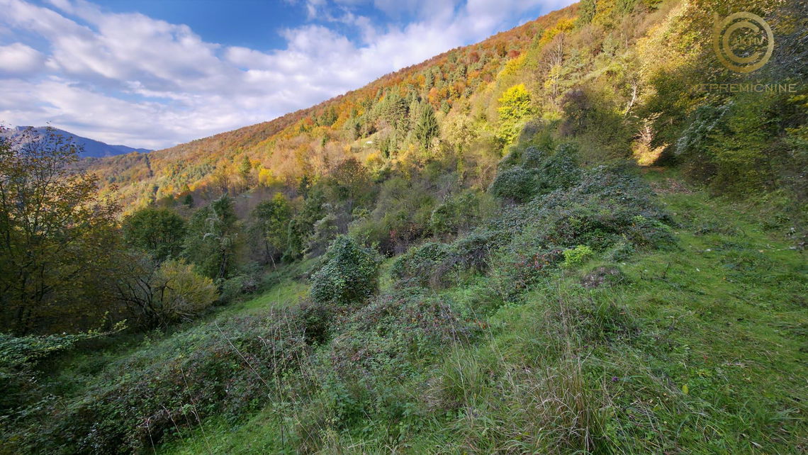 Lokacija: Goriška, Tolmin, Gorenja Trebuša