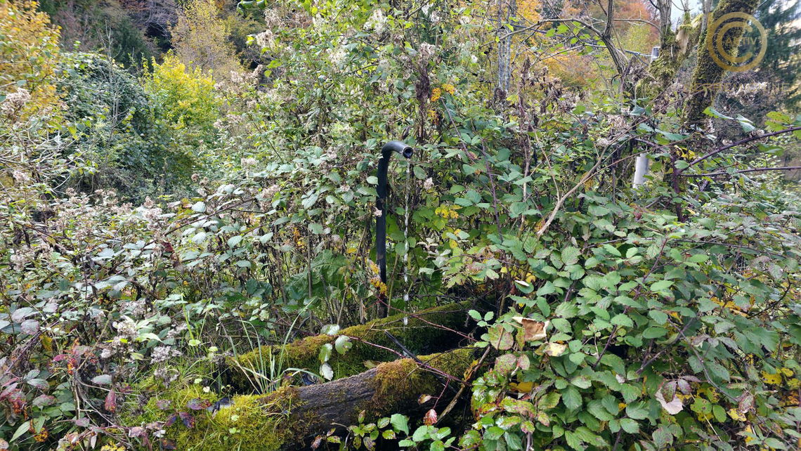Lokacija: Goriška, Tolmin, Gorenja Trebuša
