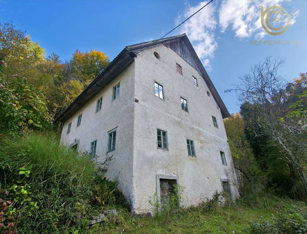 Lokacija: Goriška, Tolmin, Gorenja Trebuša