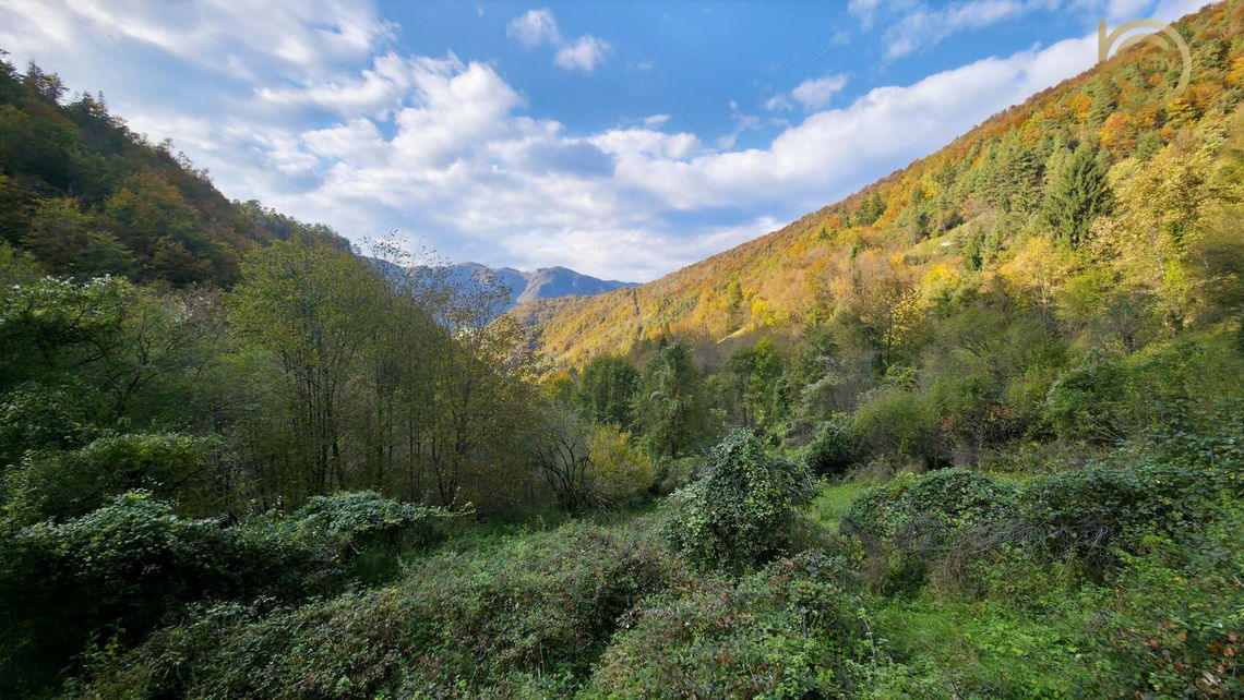 Lokacija: Goriška, Tolmin, Gorenja Trebuša