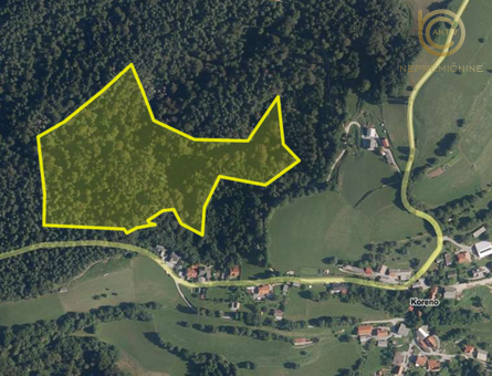 Lokacija: Ljubljana okolica, Lukovica, Koreno