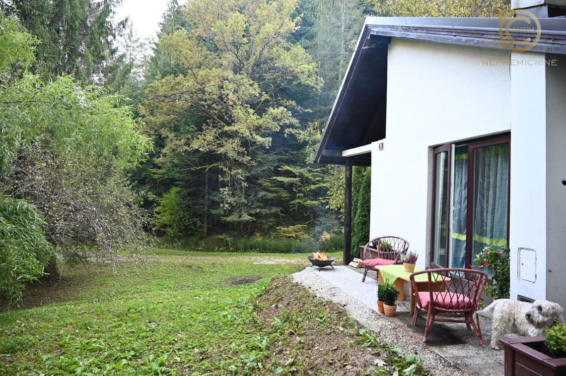 Lokacija: Podravska, Cirkulane, Cirkulane