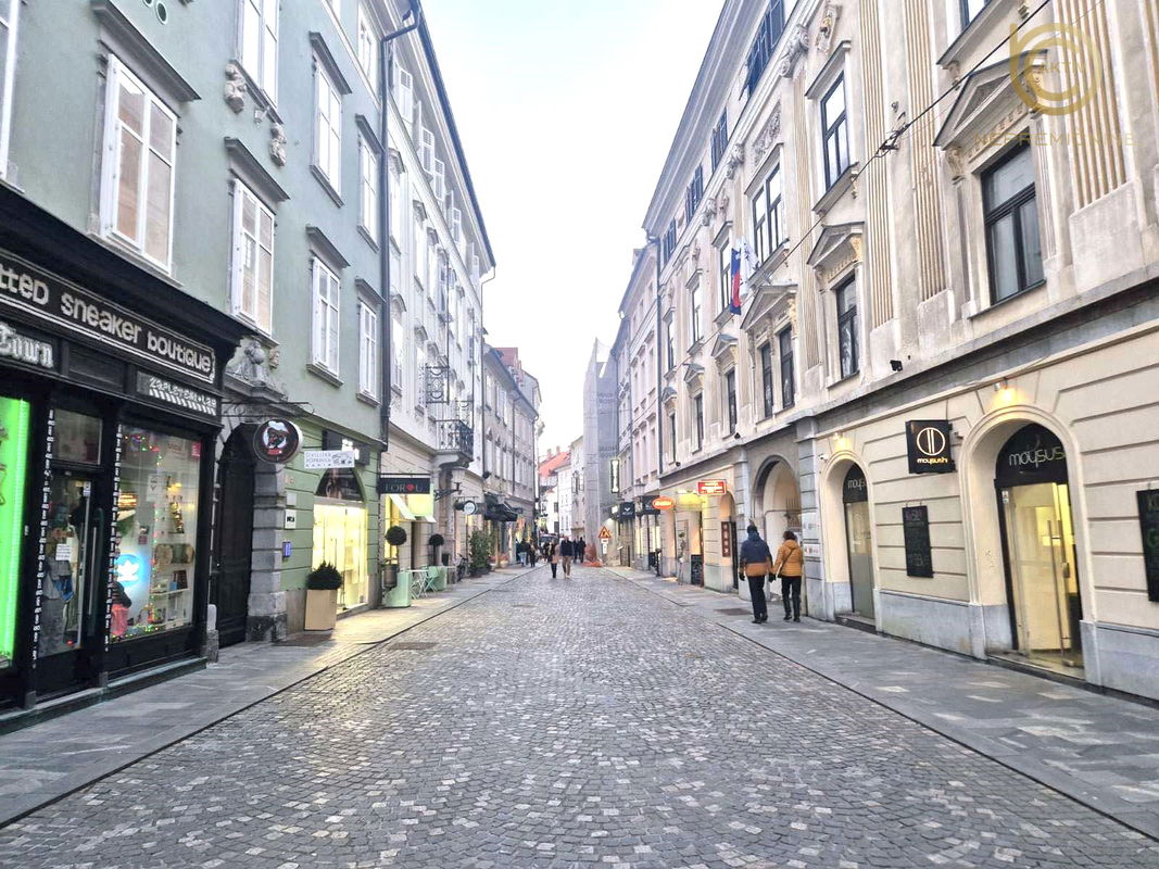 Lokacija: Ljubljana mesto, Center, Center