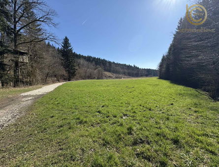 Lokacija: Ljubljana okolica, Lukovica, Rafolče
