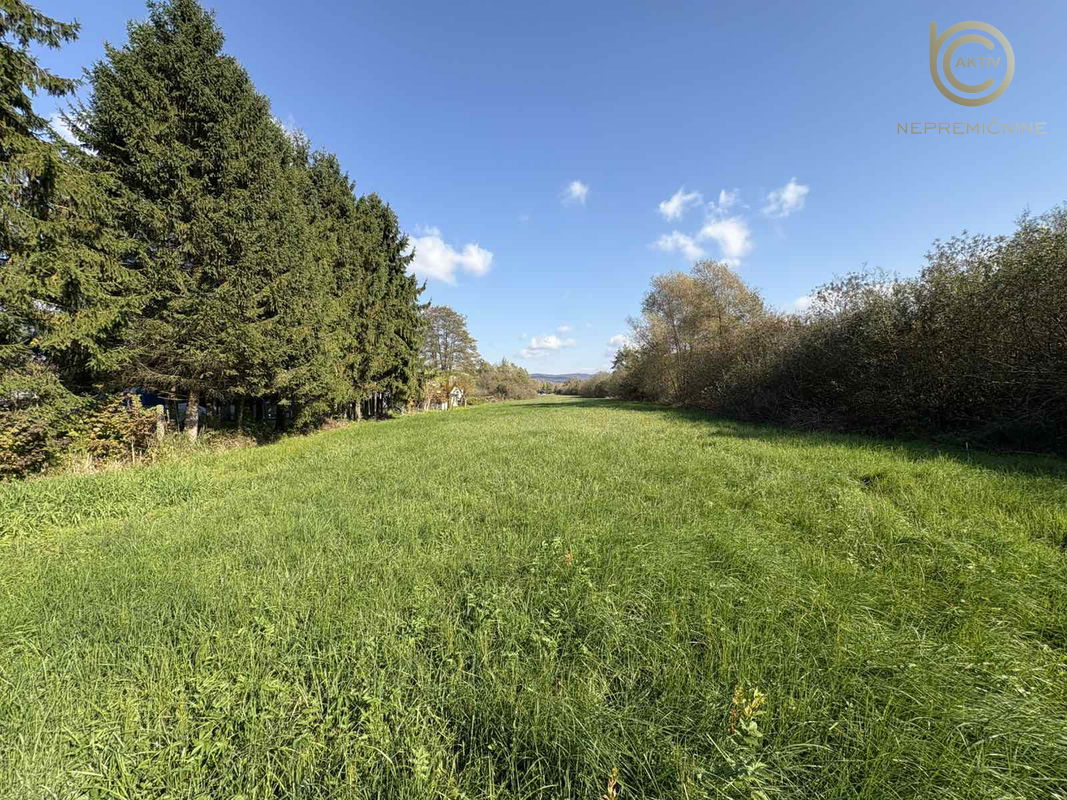 Lokacija: Ljubljana mesto, Vič-Rudnik, Rakova Jelša