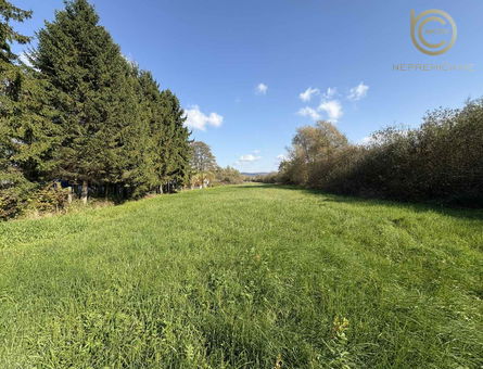 Lokacija: Ljubljana mesto, Vič-Rudnik, Rakova Jelša